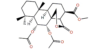 Aplyroseol 21